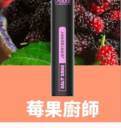 SALT SHAQ 鯊克7000口拋棄式煙桿｜持久續航・經典口感 小黑條