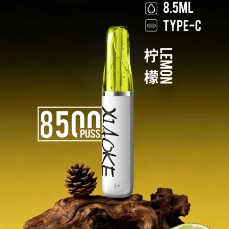 xiaoke 梟客 口紅款 8500口 拋棄式電子煙｜高顏值設計・大容量續航・台灣現貨